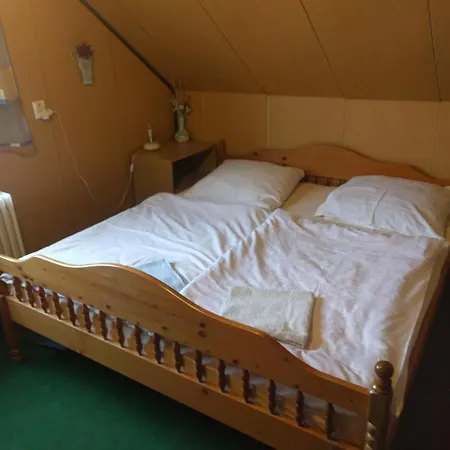 U Cervene Lisky Hotel Podlesi (Karlovy Vary)