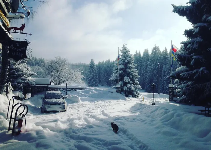 U červené Lišky * Podlesi (Karlovy Vary)